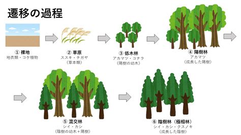 一次遷移|一次遷移 (イチジセンイ)とは？ 意味や使い方